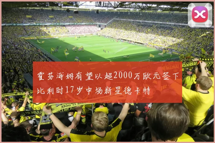 霍芬海姆有望以超2000万欧元签下比利时17岁中场新星德卡特