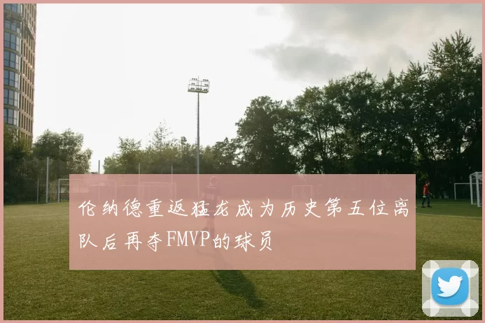伦纳德重返猛龙成为历史第五位离队后再夺FMVP的球员